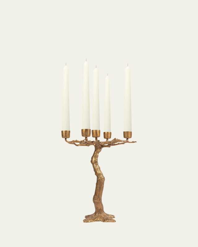 Quercus Candelabra